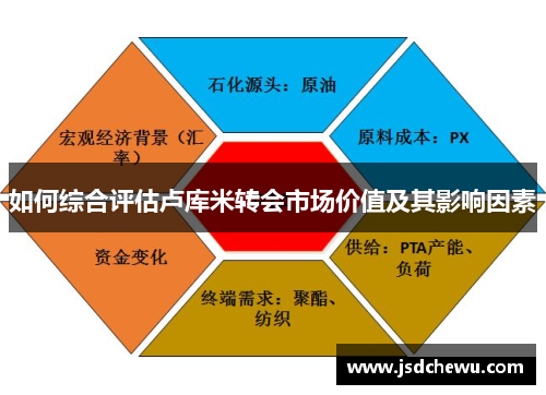 如何综合评估卢库米转会市场价值及其影响因素